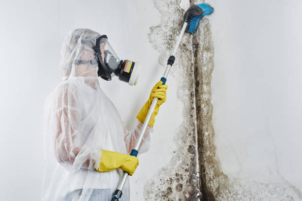 Fairfax, OK Mold Remediation Company