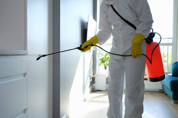 Best Mold Testing and Inspection Services in Fairfax, OK